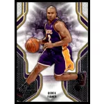 2009-10 SP Game Used  #27 Derek Fisher