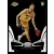 2018-19 Panini Certified  #194 Svi Mykhailiuk
