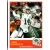 2019 Score  #152 Sam Darnold