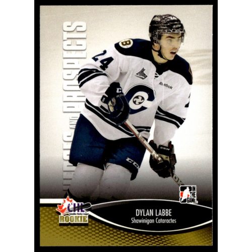 2012 In The Game Heroes and Prospects  #43 Dylan Labbe 