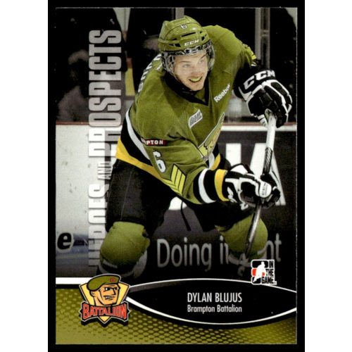 2012 In The Game Heroes and Prospects  #56 Dylan Blujus 