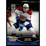 2012 In The Game Heroes and Prospects  #148 David Musil